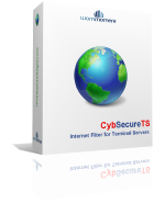 CybSecure for Terminal Server Box